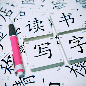 HKDSE Chinese Language Tuition