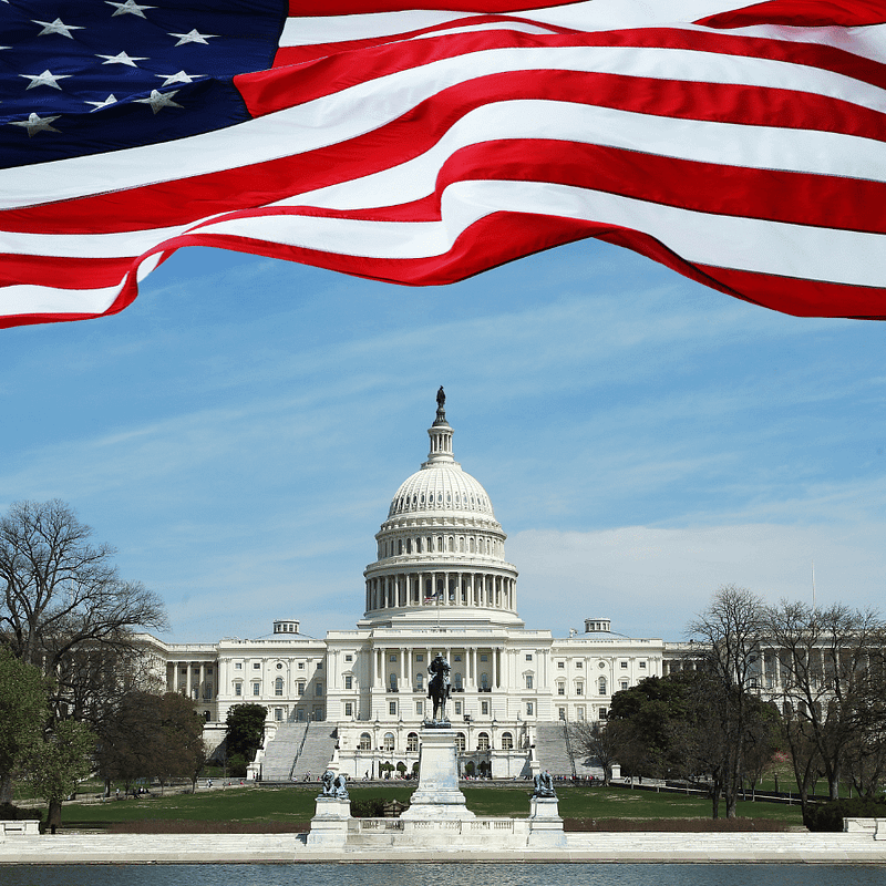 U.S. Government & Politics